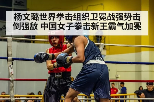 杨文璐世界拳击组织卫冕战强势击倒强敌 中国女子拳击新王霸气加冕